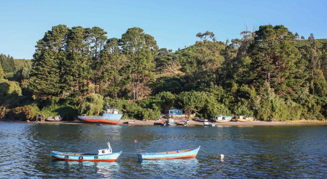 Puerto Montt a tu estilo 4
