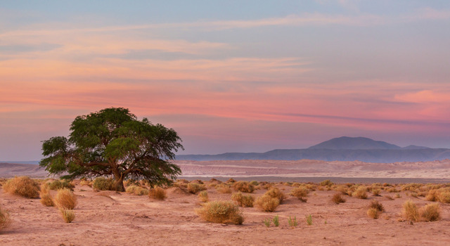San Pedro de Atacama a tu estilo 4