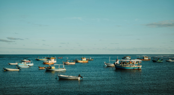 Praia do Forte: Naturaleza y Encanto Bahiano