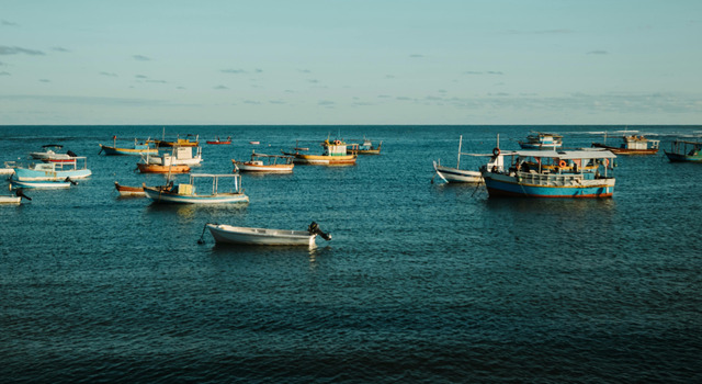 Praia do Forte a tu estilo 4