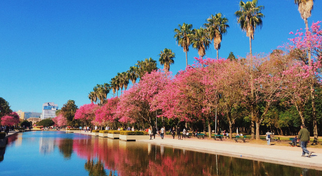 Porto Alegre a tu estilo 5