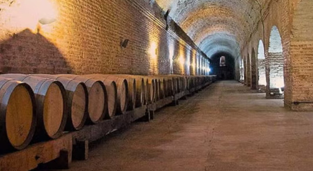 Santiago con visita a vi�edo 3