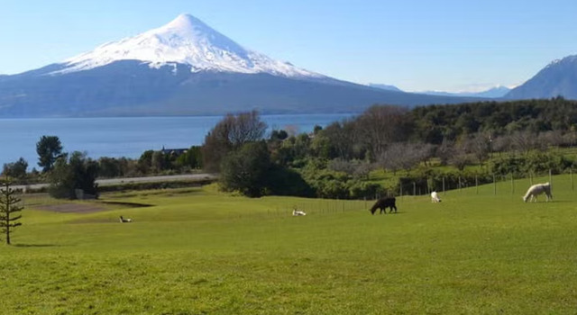 Puerto Varas y Volc�n Osorno 5
