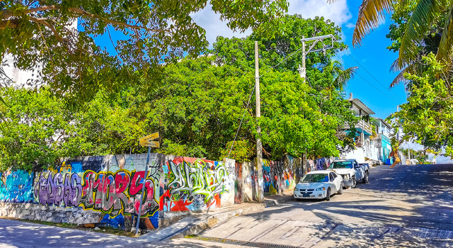 Cozumel, arrecife, arena y alma caribe�a 2