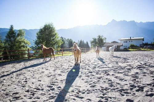 Apartamento Ferienwohnungen �tztal