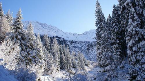 Apartamento S'landhaus