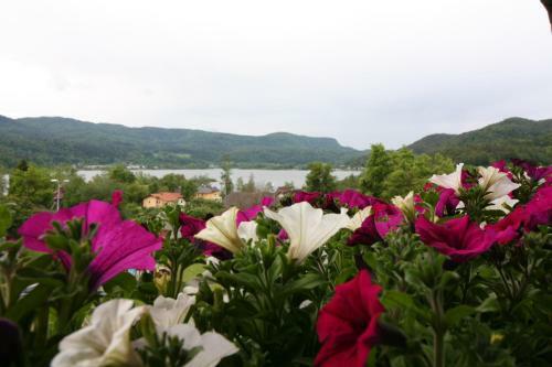 Bed & Breakfast Fr�hst�ckspension Mokina