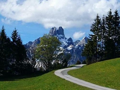Apartamento Haus Ellbrunn