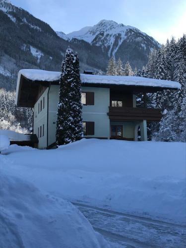 Apartamento Haus Erika