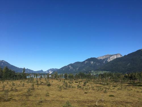 Apartamento Appartements Im Forsthaus