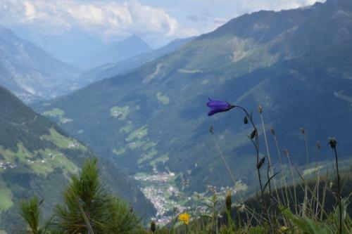 Agroturismo Ferienwohnungen Reinalter