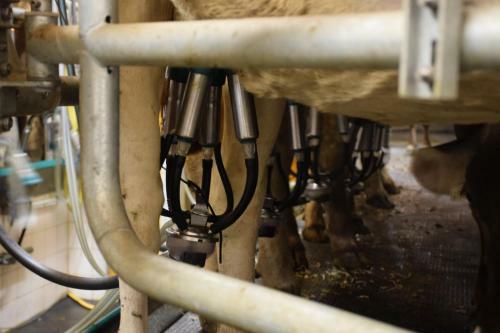 Agroturismo Ferienwohnungen Reinalter