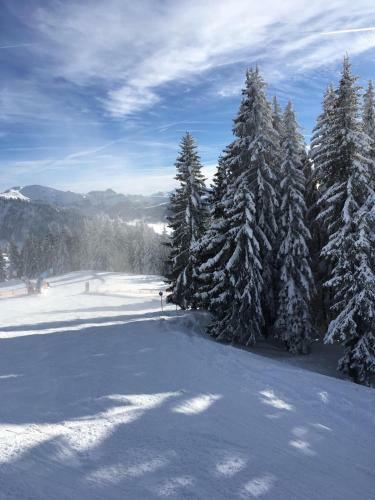 Apartamento Kendlhof