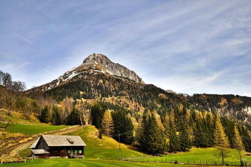 Bed & Breakfast Chalet Mur