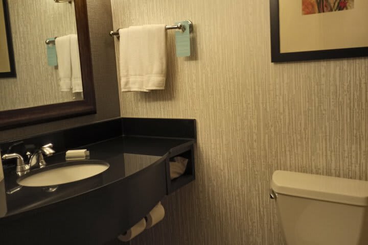 Hotel Hilton Garden Inn Calgary Airport