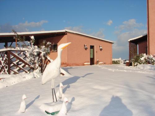 Bed & Breakfast Airone Country House