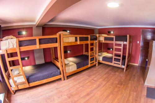Albergue Wild Rover La Paz