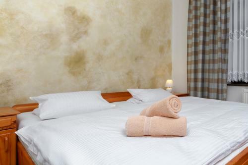 Hostal Vila Javorinka