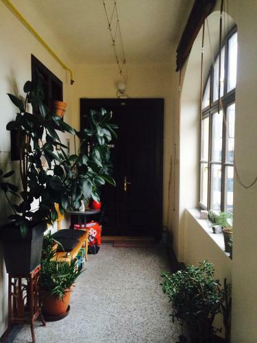 Art Aemona Apartment