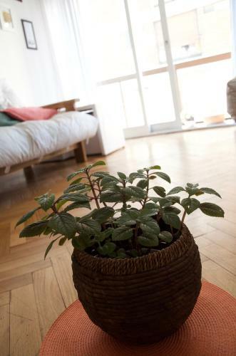 Apartamento Marcelo T