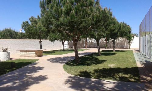 Agroturismo Complejo Rural Entre Pinos