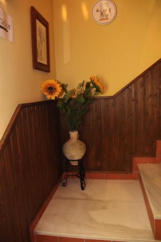 Agroturismo Casa Mirador San Pedro