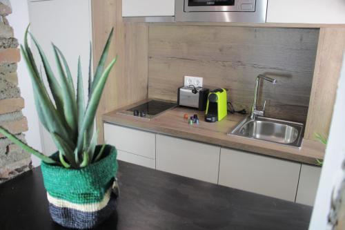 Apartamento Riad Puertas Del Albaic�n