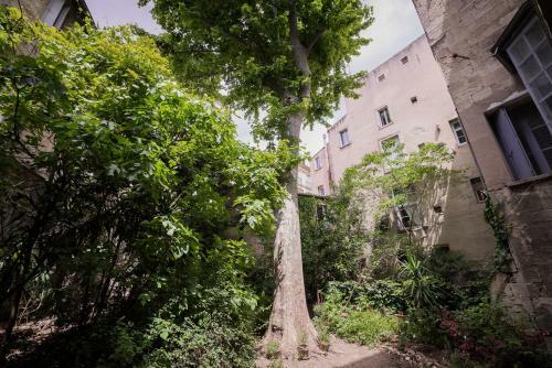 Apartamento Les Jardins de L�ecusson - Premi�re Conciergerie