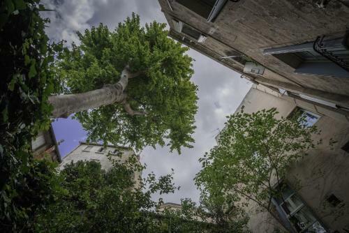 Apartamento Les Jardins de L�ecusson - Premi�re Conciergerie