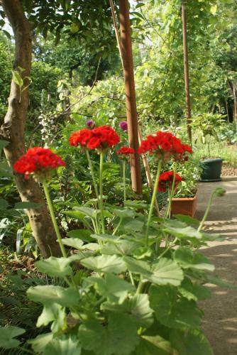 Hostal Dom Merabi Guest House