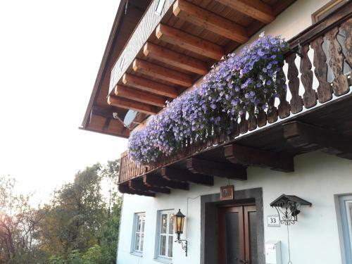 Agroturismo Gesundheitshof Daxinger Bio