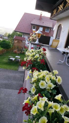 Agroturismo Gesundheitshof Daxinger Bio
