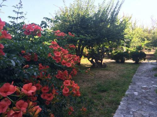 Apartamento Villa-toula