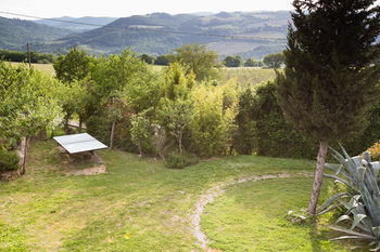 Apartamento Podere Il Tigliolo