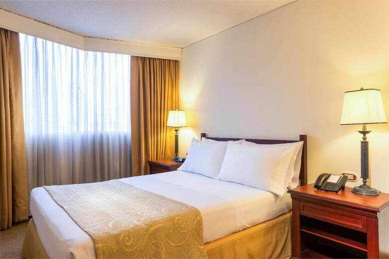 Hotel Dann Avenida 19