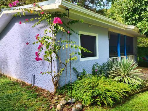 Villas Casita Azul