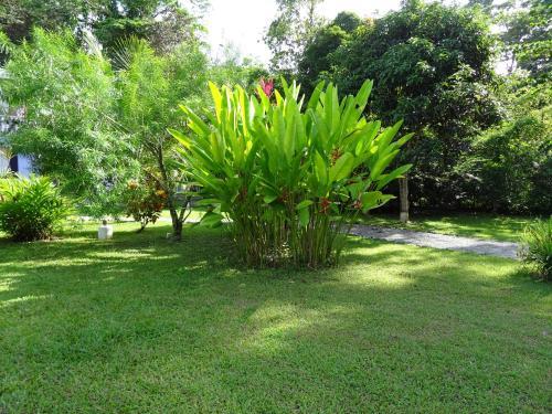 Villas Casita Azul