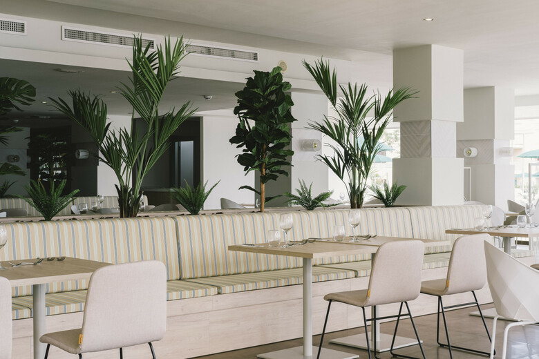 Hotel Alua Soul Palma