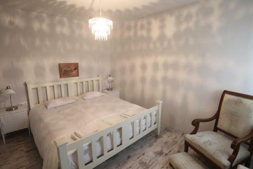 Hostal Pastel Guesthouse