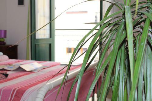 Apartamento A Due Passi Dal Centro