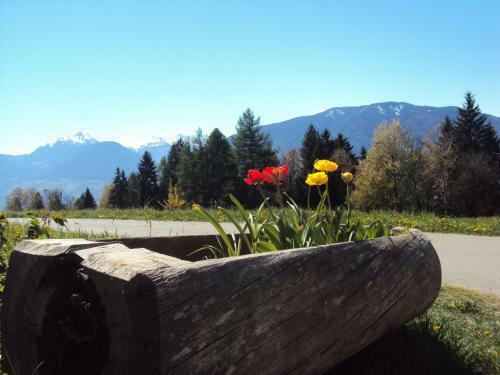 Agroturismo Aussersalfnerhof