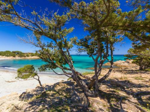 Apartamento Orosei Home Holidays - Sa Vadde
