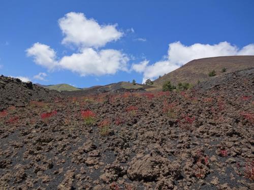 Alberto's Mt.etna B&B