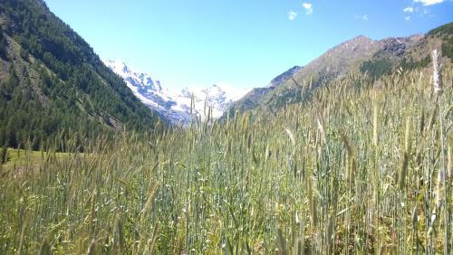 Agroturismo La Ferme Du Grand Paradis