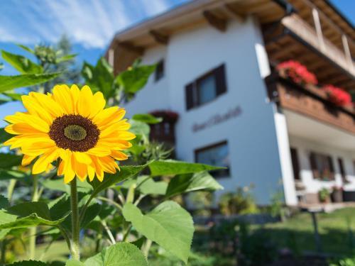 Hostal Haus Elisabeth
