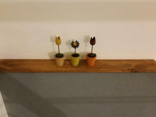 Apartamento La Salita Di San Camillo