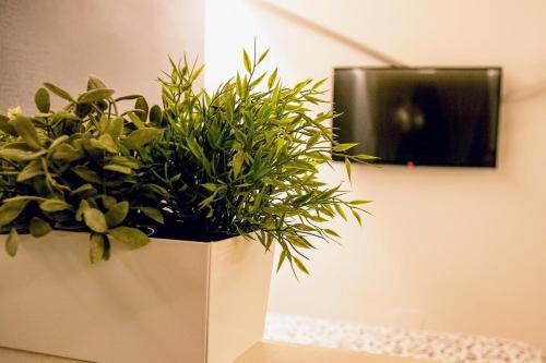 Apartamento Yhome | Royal Suite Vittorio