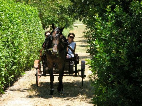 Agroturismo Tenuta Sant'andrea