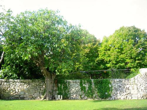 Agroturismo Tenuta Sant'andrea