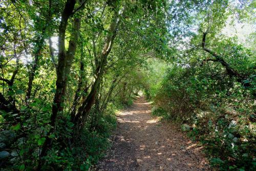 Agroturismo Tenuta Sant'andrea